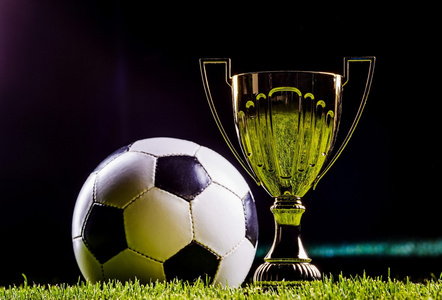 这意味着他 这意味着他